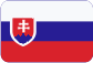 VSJ - strojírna CZ a.s. Slovensky